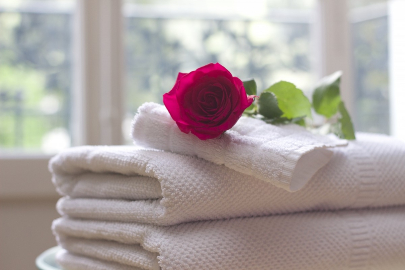 hotel-LE REVEST LES EAUX-min_towel_rose_clean_care_salon_spa_white_bath-731641